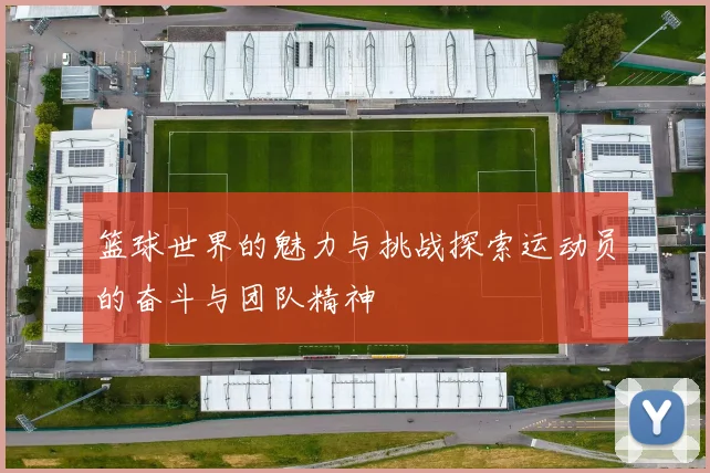 篮球世界的魅力与挑战探索运动员的奋斗与团队精神