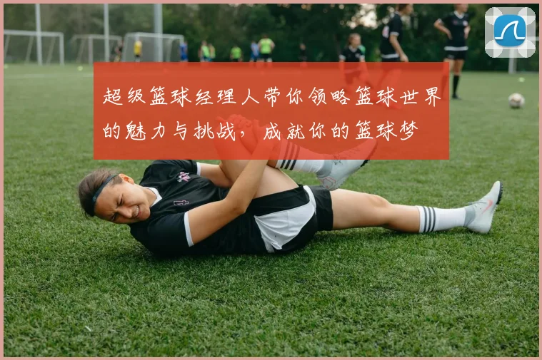 超级篮球经理人带你领略篮球世界的魅力与挑战，成就你的篮球梦