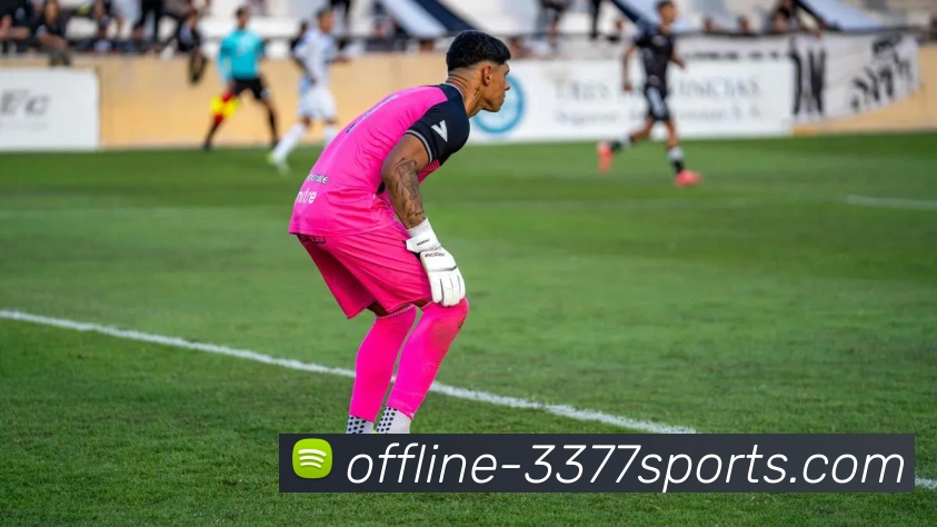 App Interface Preview